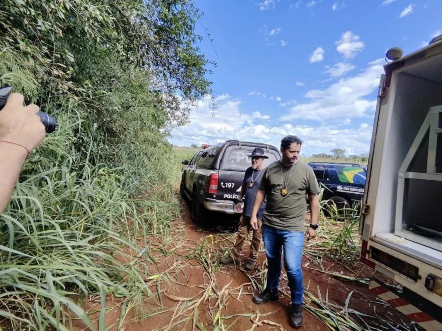 Corpo de Jazon Ferreira dos Santos é encontrado em mata; Delegado fala sobre o caso