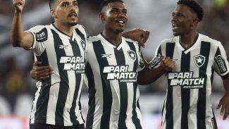 Botafogo supera Vitória para abrir vantagem na Copa do Brasil