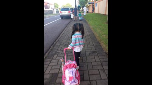 Foi perdido bolsa no bairro São Cristóvão Imagem referente a Foi perdido bolsa no bairro São Cristóvão