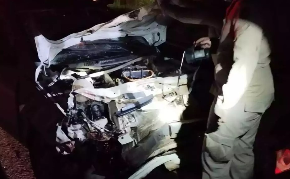 Carro fica completamente destruído após atropelamento de anta