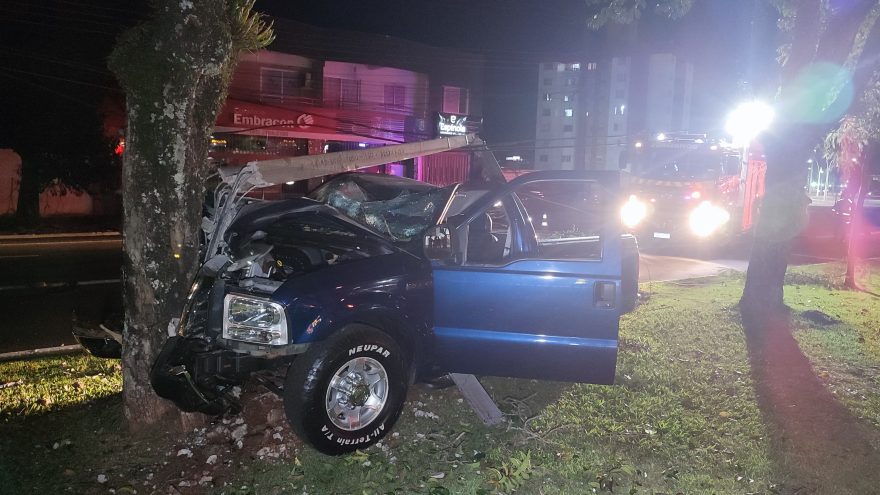 Caminhonete F-250 bate em poste e árvore na Avenida Brasil