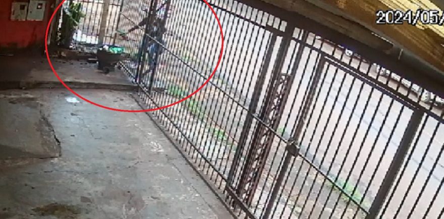 Mulher é flagrada furtando vaso de flor no São Cristóvão