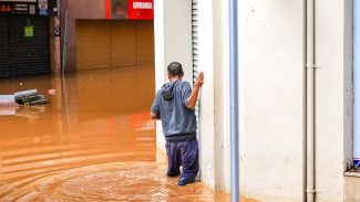 Saiba como prevenir doenças como a leptospirose, após chuvas no RS