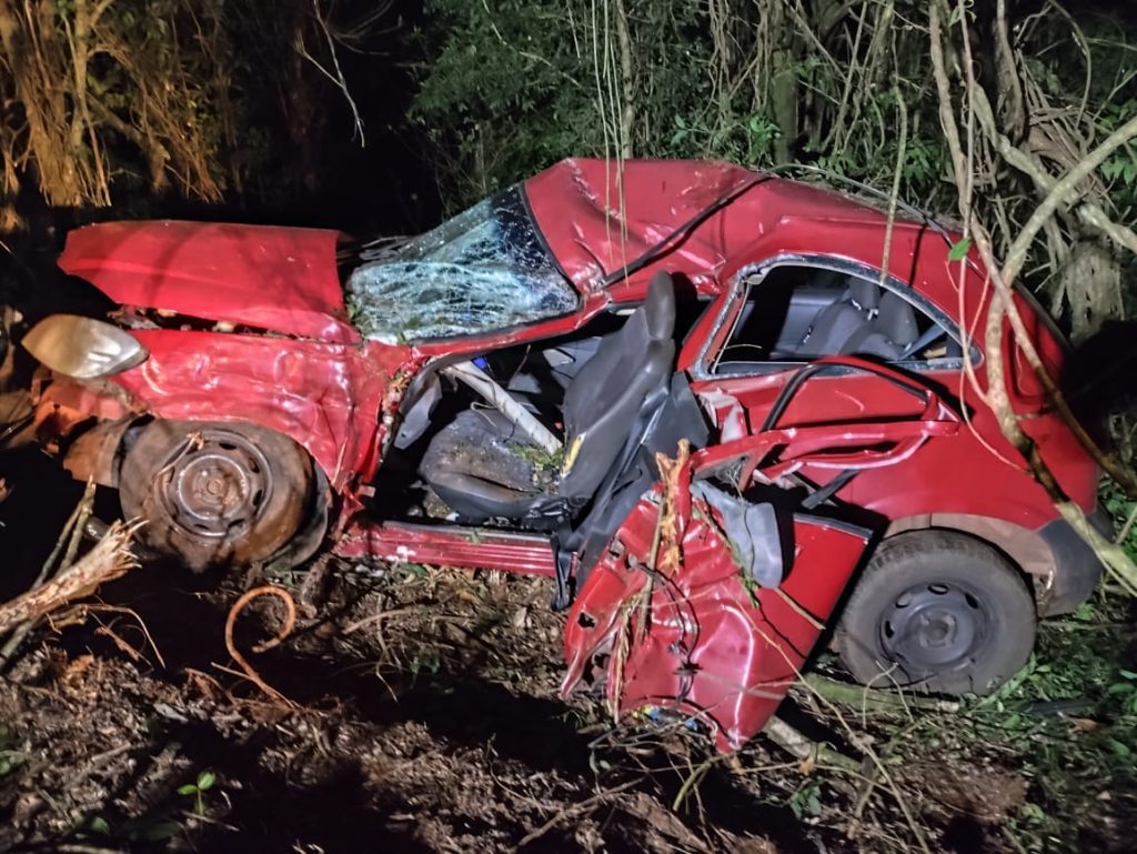 Carro sai da pista, bate em árvore e condutor sofre ferimentos graves na PR-281 Carro sai da pista, bate em árvore e condutor sofre ferimentos graves na PR-281