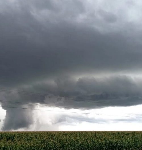 Imagem referente a Região Sul em alerta: Ciclone pode causar chuvas volumosas e ventos de até 90 km/h