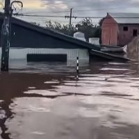 Imagem referente a Nível da água não baixa e mais bairros de Porto Alegre ficam alagados