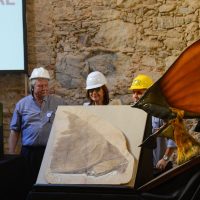 Museu Nacional recebe doação de mais de mil peças Imagem referente a Museu Nacional recebe doação de mais de mil peças