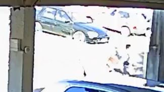 Impressionante! câmeras registram criança sendo atacada por cachorro em condomínio no Parque Verde