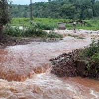 Imagem referente a Judiciário direciona R$ 60 milhões em auxílio ao Rio Grande do Sul