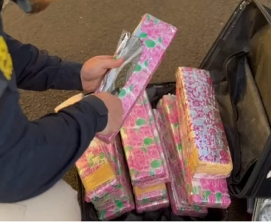 Maconha em mochilas: PRF apreende 33kg em ônibus na BR-277