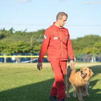 Imagem referente a Com certificação nacional de duplas, Paraná amplia número de cães aptos para resgates