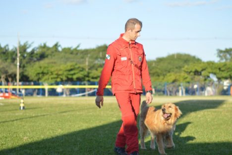 Com certificação nacional de duplas, Paraná amplia número de cães aptos para resgates