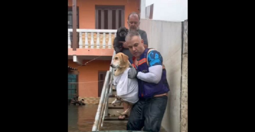 Sargento da PM de Santa Tereza auxilia em resgates de pessoas e animais vítimas da enchente no RS