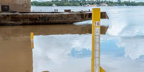 Sistema Agroflorestal promove redução de efeitos da seca na Amazônia
