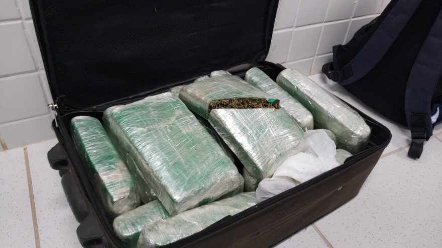 Jovem é preso com 11 quilos de maconha em mala em ônibus de linha