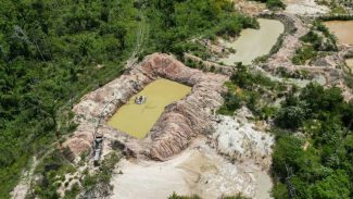 Polícia Federal fecha três garimpos em Terra Indígena Kayapó no Pará