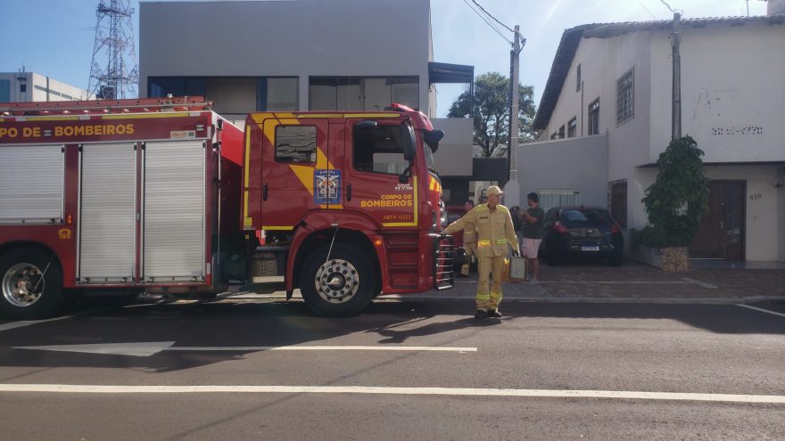 Bombeiros são acionados após gambá invadir residência no Centro