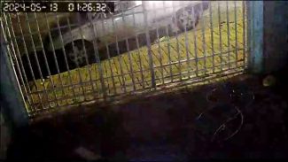 Vídeo mostra suspeito ateando fogo em carro de homem que foi detido por agredir a própria namorada