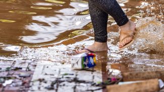 Com recuo da água, Porto Alegre enfrenta lixo na rua, ratos e insetos