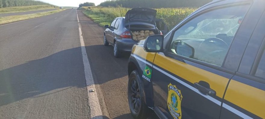 Mulher, moradora de Toledo, é presa pela PRF levando 300 kg de maconha para São Paulo