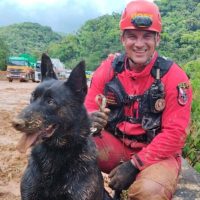 Imagem referente a Paraná vai mandar novos bombeiros com cães de busca para o Rio Grande do Sul