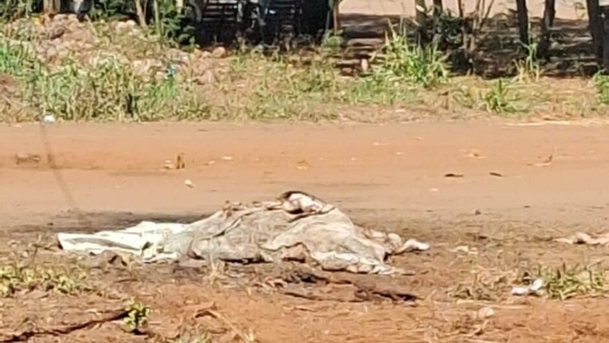 Carniça! Moradora denuncia carcaça abandonada em frente a residência