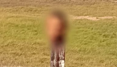 Imagem referente a Jovem de 25 anos é decapitado e tem cabeça encontrada em terreno baldio