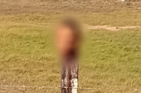 Imagem referente a Jovem de 25 anos é decapitado e tem cabeça encontrada em terreno baldio