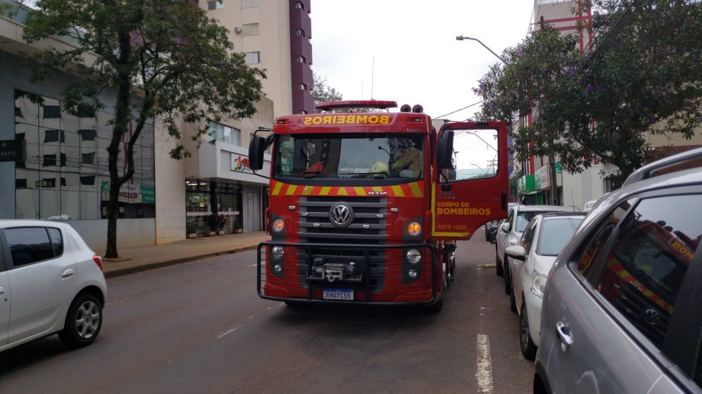 Resgate de gato dá trabalho aos Bombeiros na Rua São Paulo