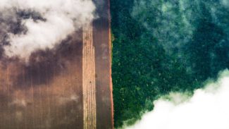 Conhecimento indígena pode melhorar relação com o meio ambiente