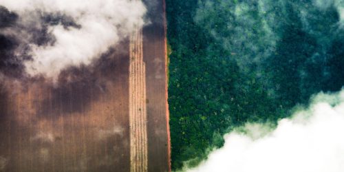 Imagem referente a Conhecimento indígena pode melhorar relação com o meio ambiente