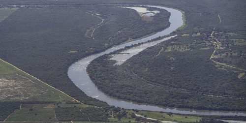 Imagem referente a Mata Atlântica: desmatamento cai em áreas contínuas entre 2022 e 2023