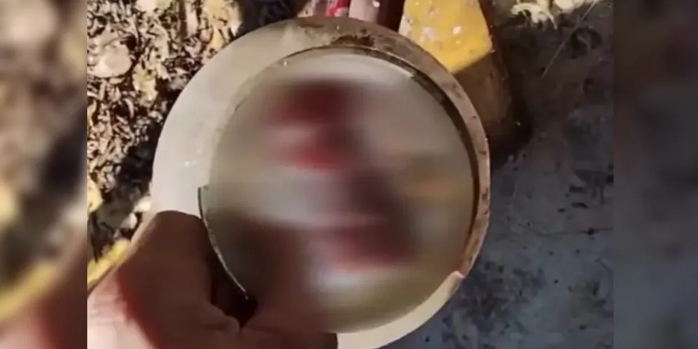 Feto é encontrado abandonado dentro de pote de vidro