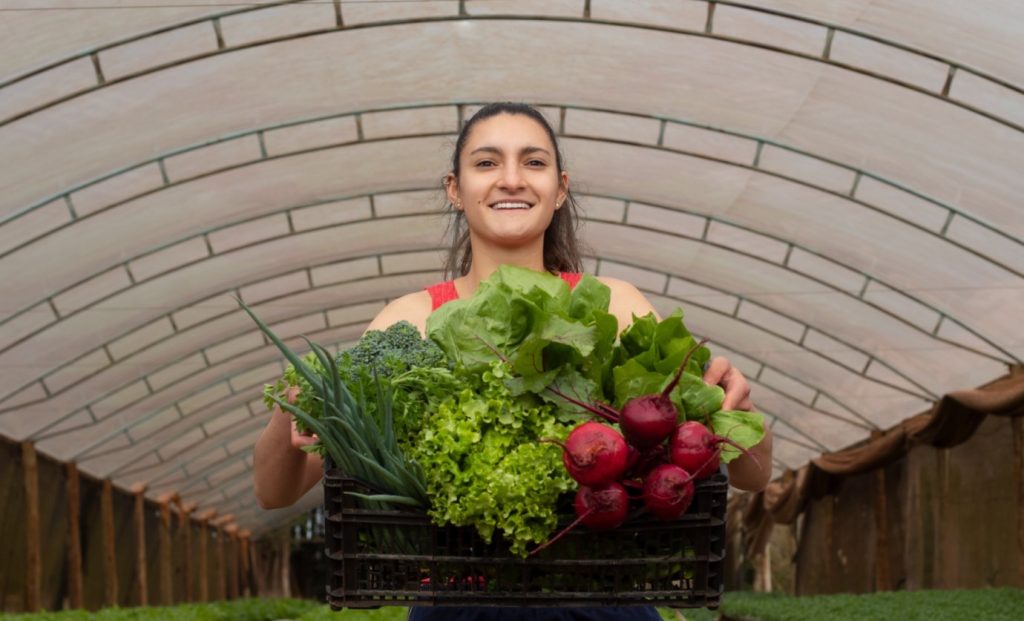 NOVIDADE: Feira do produtor urbano será realizada na rua no Bairro Floresta