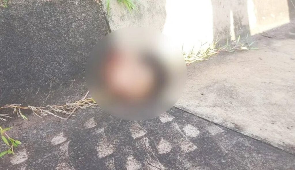 Cabeça de menina que teve o corpo furtado de cemitério é encontrada