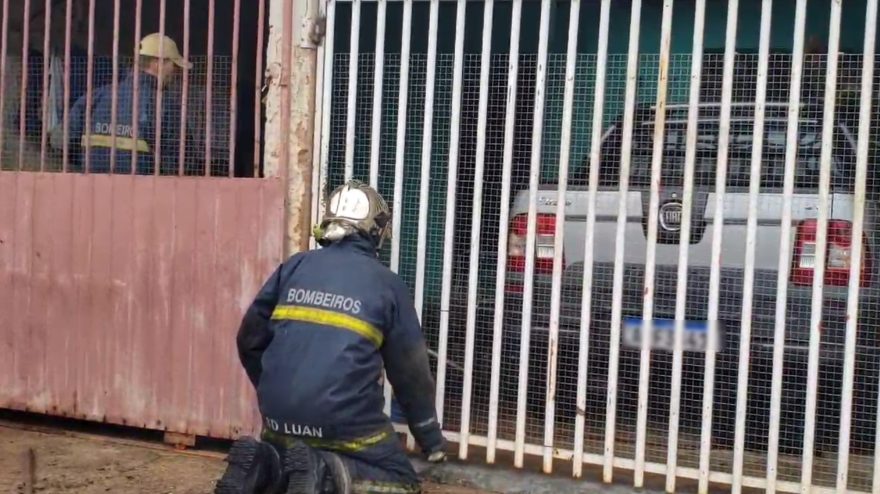 Bombeiros são acionados para captura de cachorro agitado em residência
