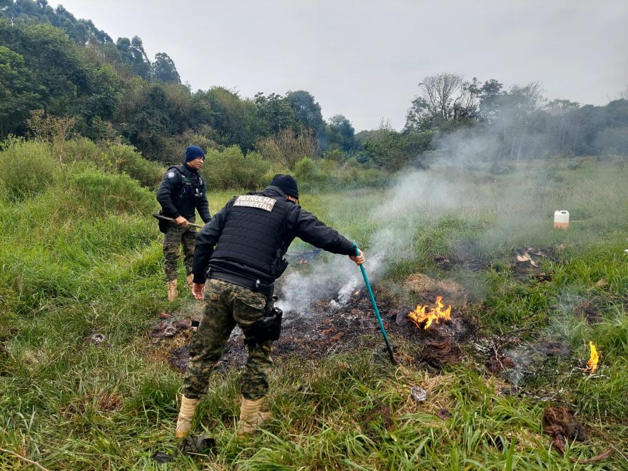 Patrulha Ambiental flagra queimada de fios no Cascavel Velho
