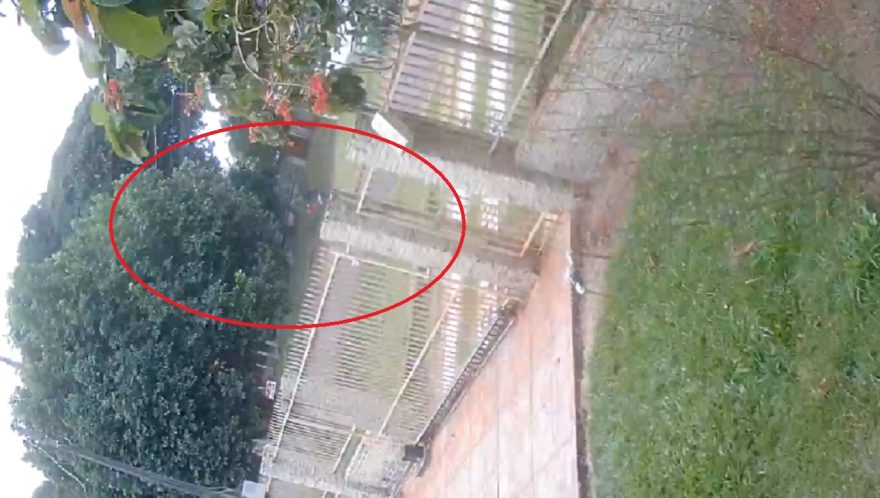 Atropelamento no Floresta: Áudio do impacto é capturado por câmera de segurança