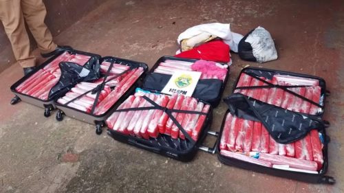Polícia apreende 65 quilos de maconha na Rodoviária de Foz após denúncia Imagem referente a Polícia apreende 65 quilos de maconha na Rodoviária de Foz após denúncia