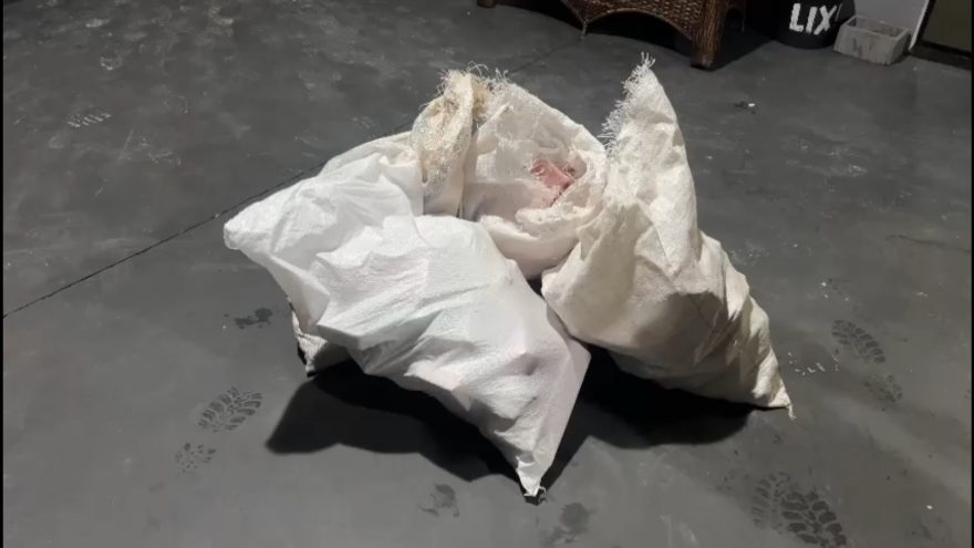 Abordagem de rotina revela 99 quilos de maconha escondidos em fundos falsos