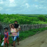 Famílias em risco podem receber fomento rural mais de uma vez Imagem referente a Famílias em risco podem receber fomento rural mais de uma vez