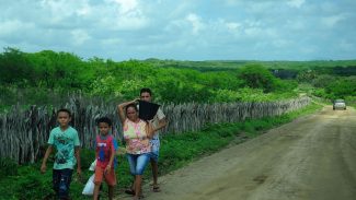 Famílias em risco podem receber fomento rural mais de uma vez Famílias em risco podem receber fomento rural mais de uma vez