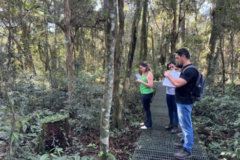 Imagem referente a Polícia Científica do Paraná promove curso de reciclagem em perícias ambientais