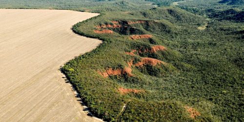 Imagem referente a Área desmatada no Brasil em 2023 cai 11,6%, indica MapBiomas