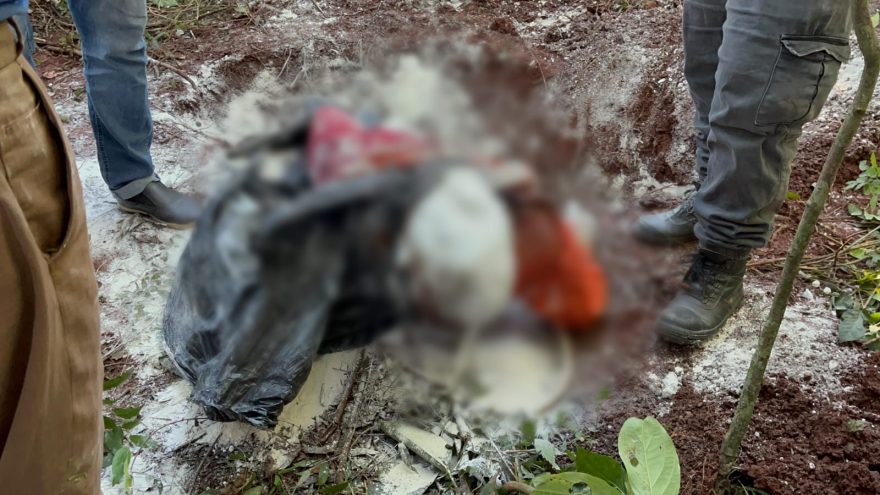 Cachorro encontra pé humano e cadáver é achado em saco plástico