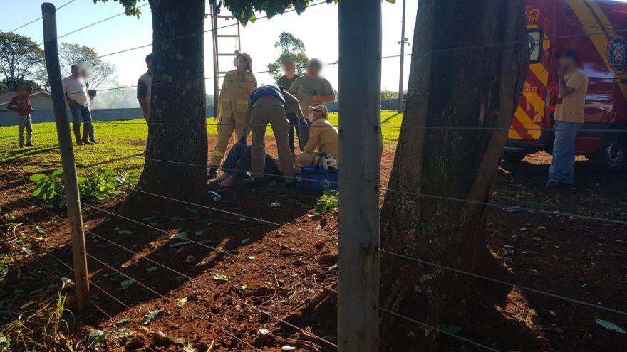 Idoso leva choque elétrico, cai de árvore e sofre suspeita de fratura na coluna