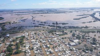 Hoje é Dia: Meio ambiente e oceanos marcam as celebrações da semana