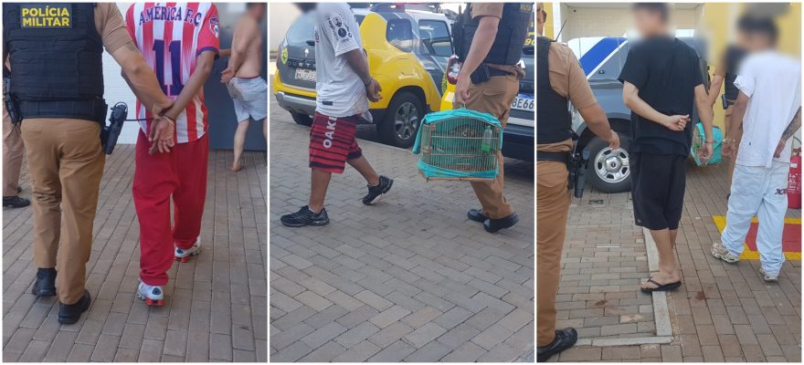 Polícia detém seis homens e apreende adolescente, maconha, cocaína e passarinho no Cataratas