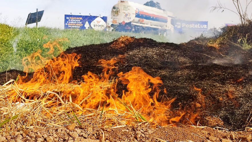 Incêndio em vegetação prejudica visibilidade na BR-369 em Cascavel