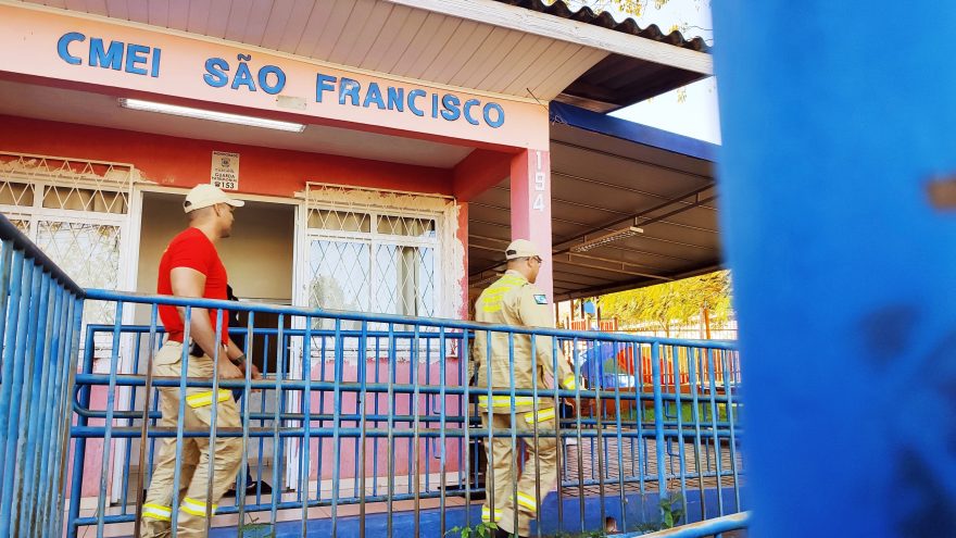 Gambá assusta professores e alunos no Cmei São Francisco